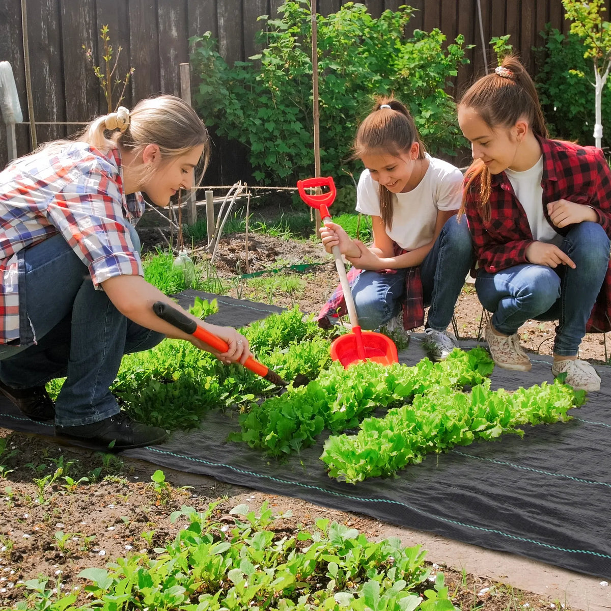 Heavy Duty Weed Control Membrane, 2 x 100m Garden Weed Barrier