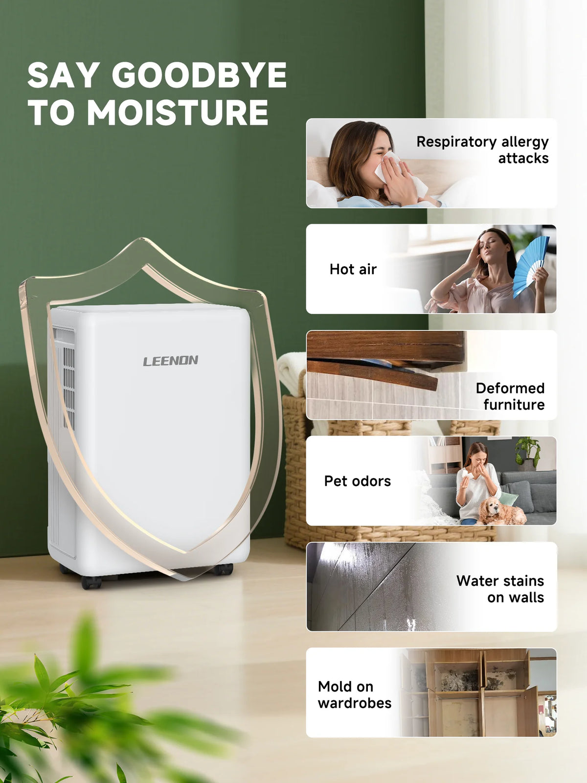 10L per Day Dehumidifier with Timer and Continuous Drainage