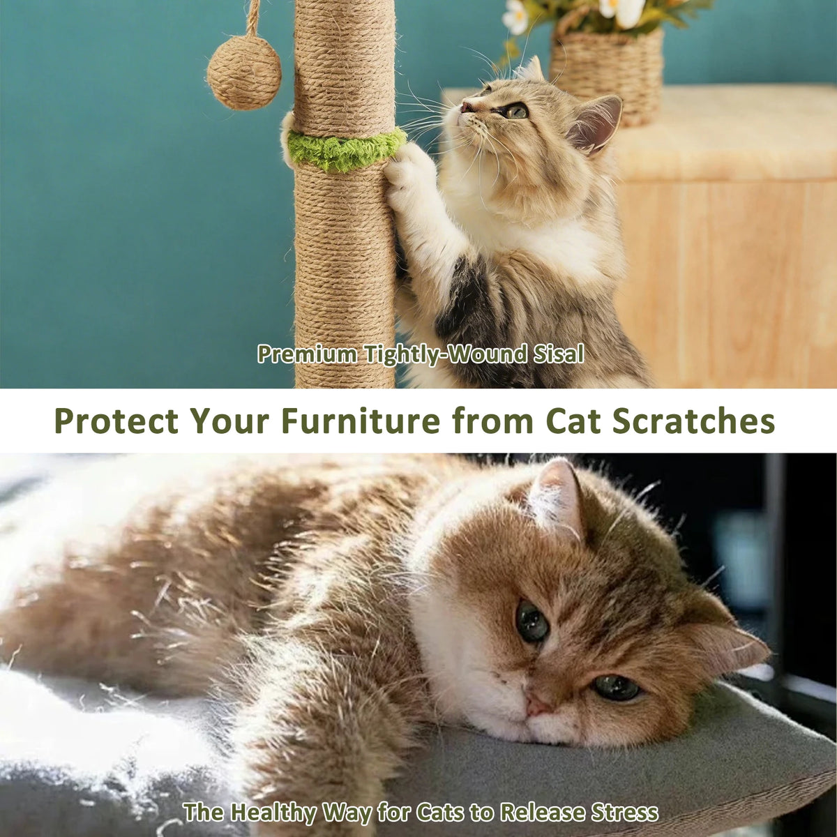 Tree Shaped Cat Scratching Post 56cm 93cm with Dangling Balls Spring Toys Rat Hole Sisal for Kittens Adult Cats