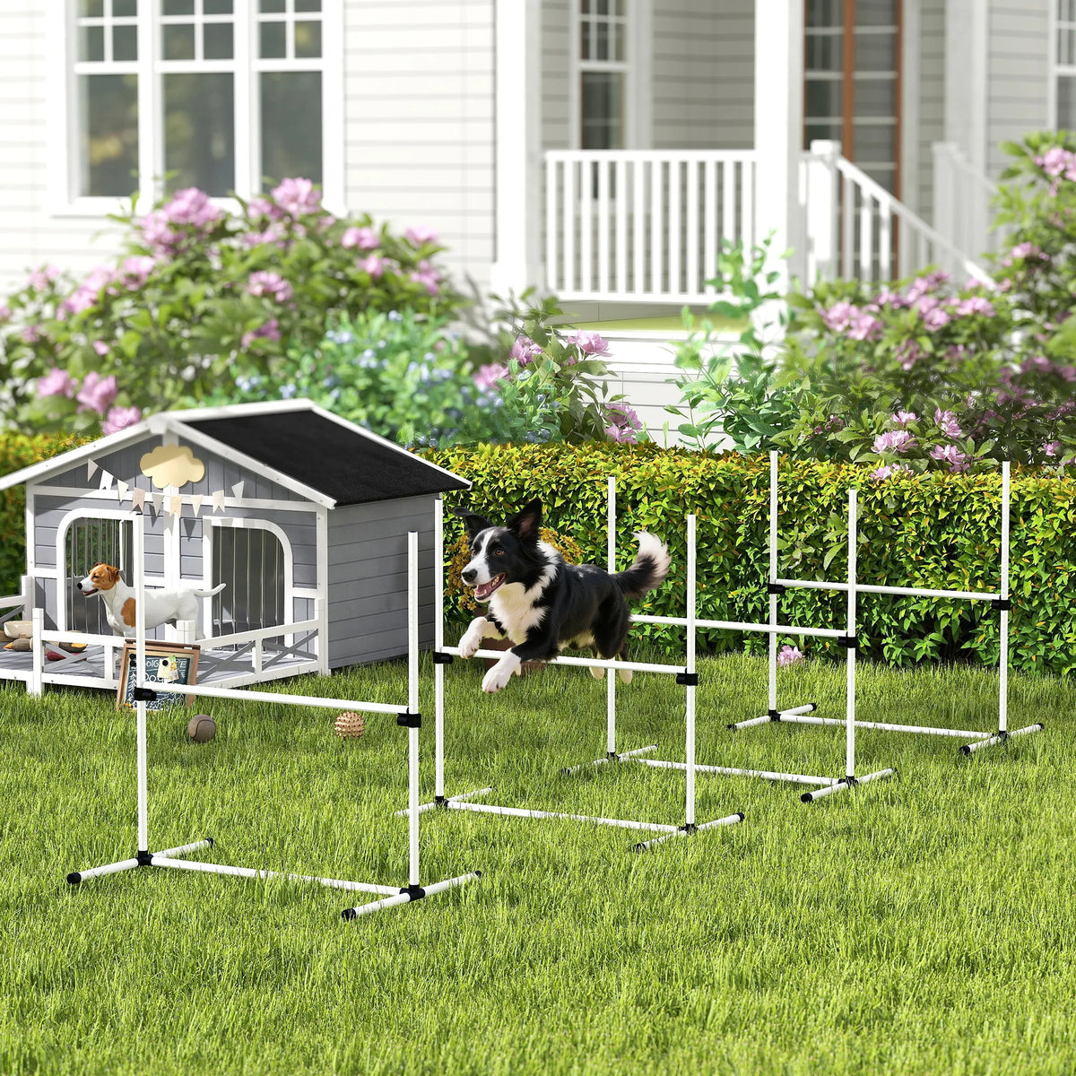 Four-Piece Dog Agility Jump Set with Carry Bag, Adjustable Height, White