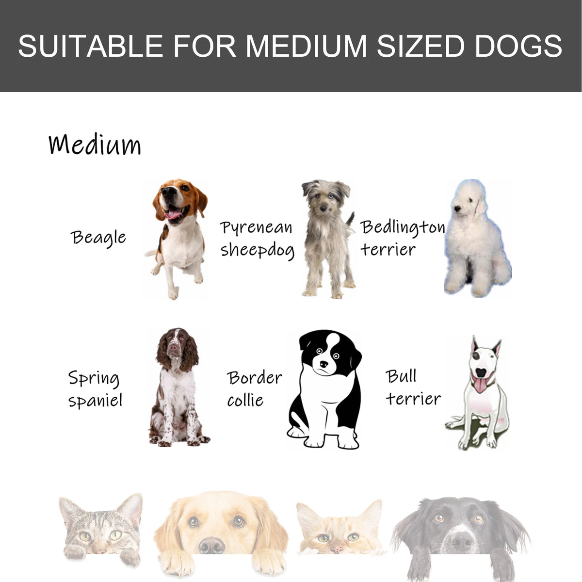 Folding Metal Dog Crate with Locking Door and Wheels