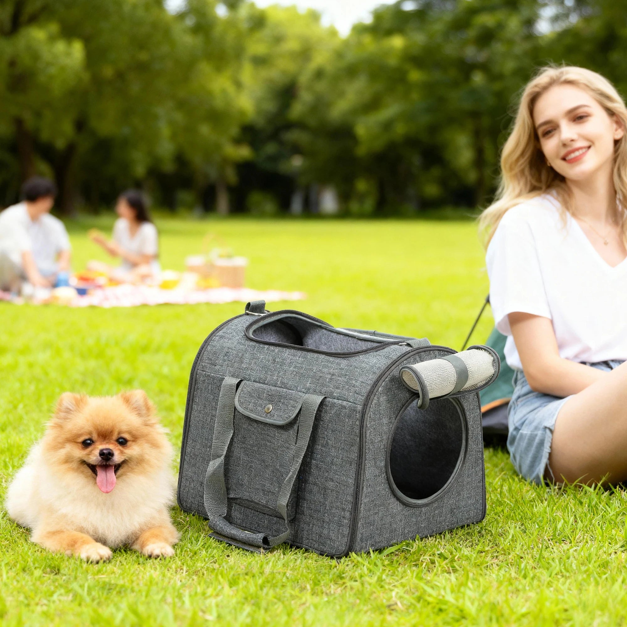 Soft Sided Cat Carrier Bag Foldable Portable with Shoulder Strap Mesh Windows and Safety Leash for Pets up to 10kg