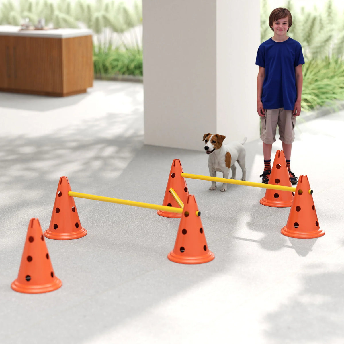 3-Piece Dog Agility Set with Adjustable Height Jumps and Carry Bag