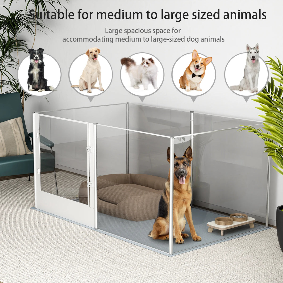 BINGOPAW Large Acrylic Dog Playpen 6 Panel 163x102.5x80cm Fence Whelping Box with Waterproof Mat