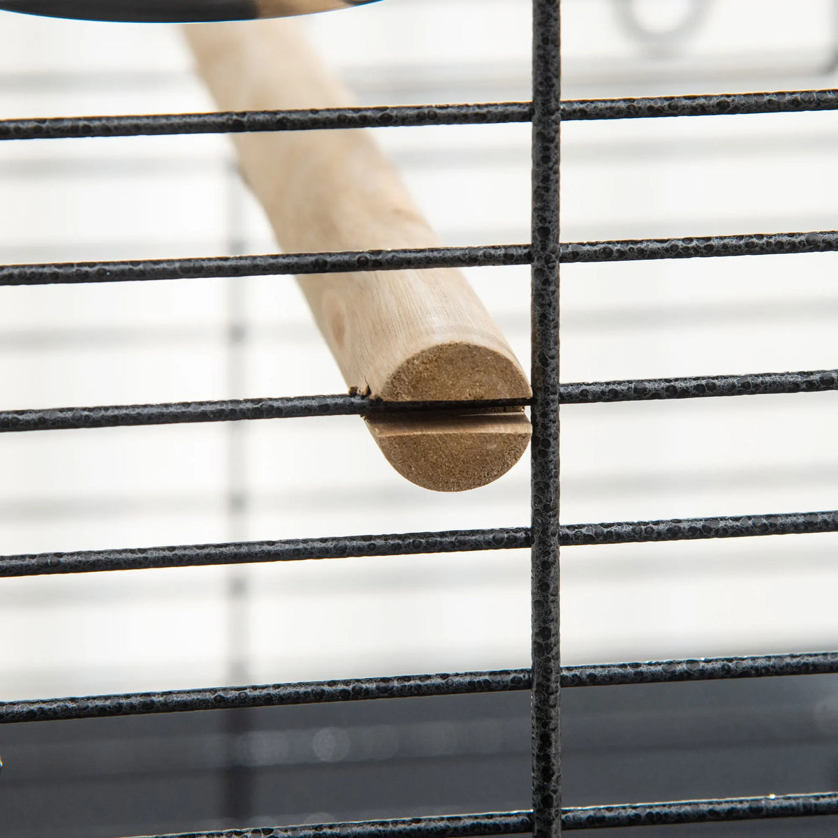 Steel Bird Cage, Large Budgie Cage for Cockatiels and Parakeets