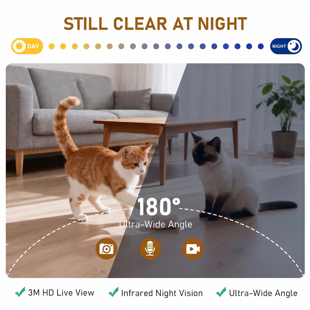 6.5L Automatic Cat Feeder with Camera WiFi App Control Rechargeable Battery Stainless Steel Bowl