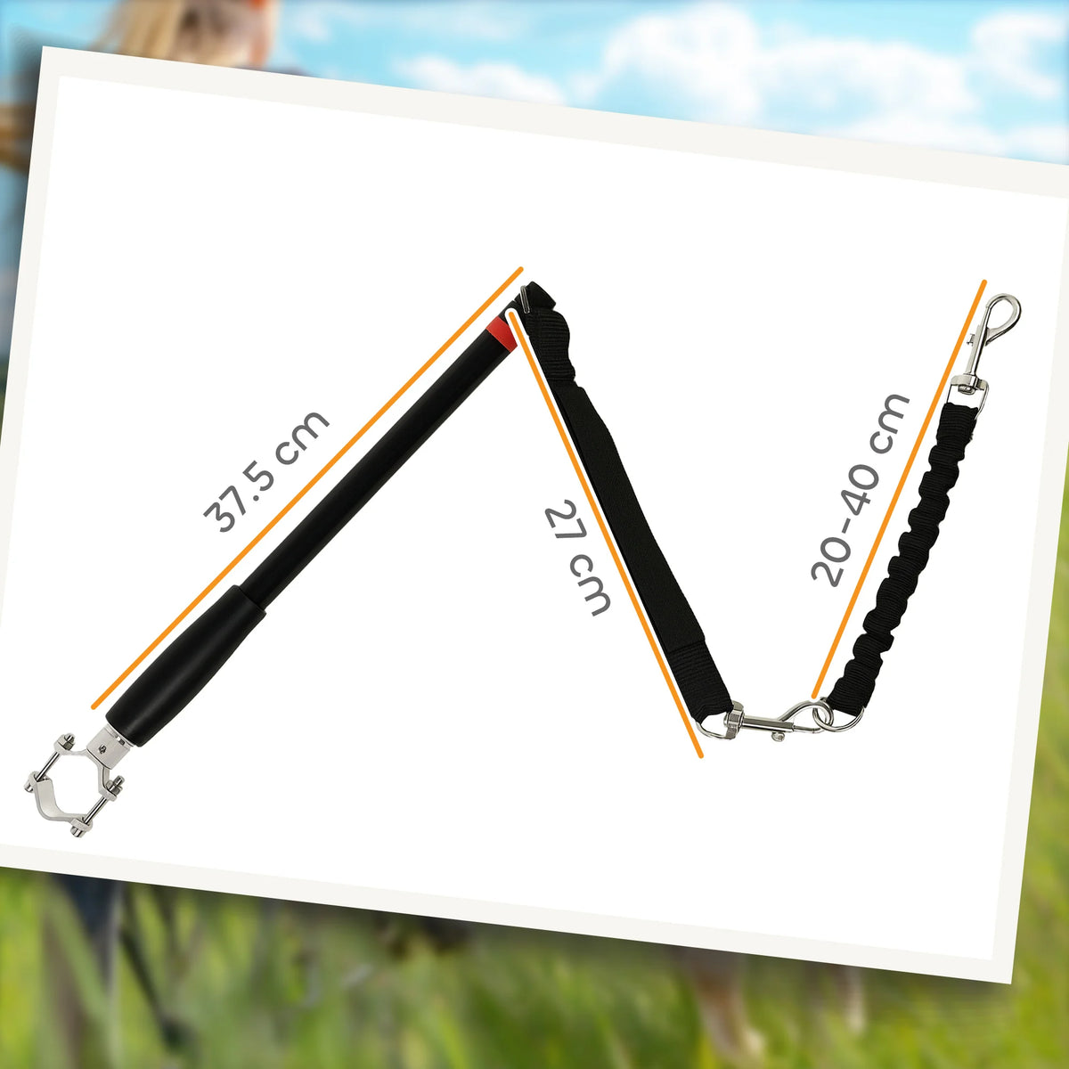 Dog Lead for Bicycle with Elastic Rope Steel Distance Bar 124cm Bike Attachment for Cycling Black