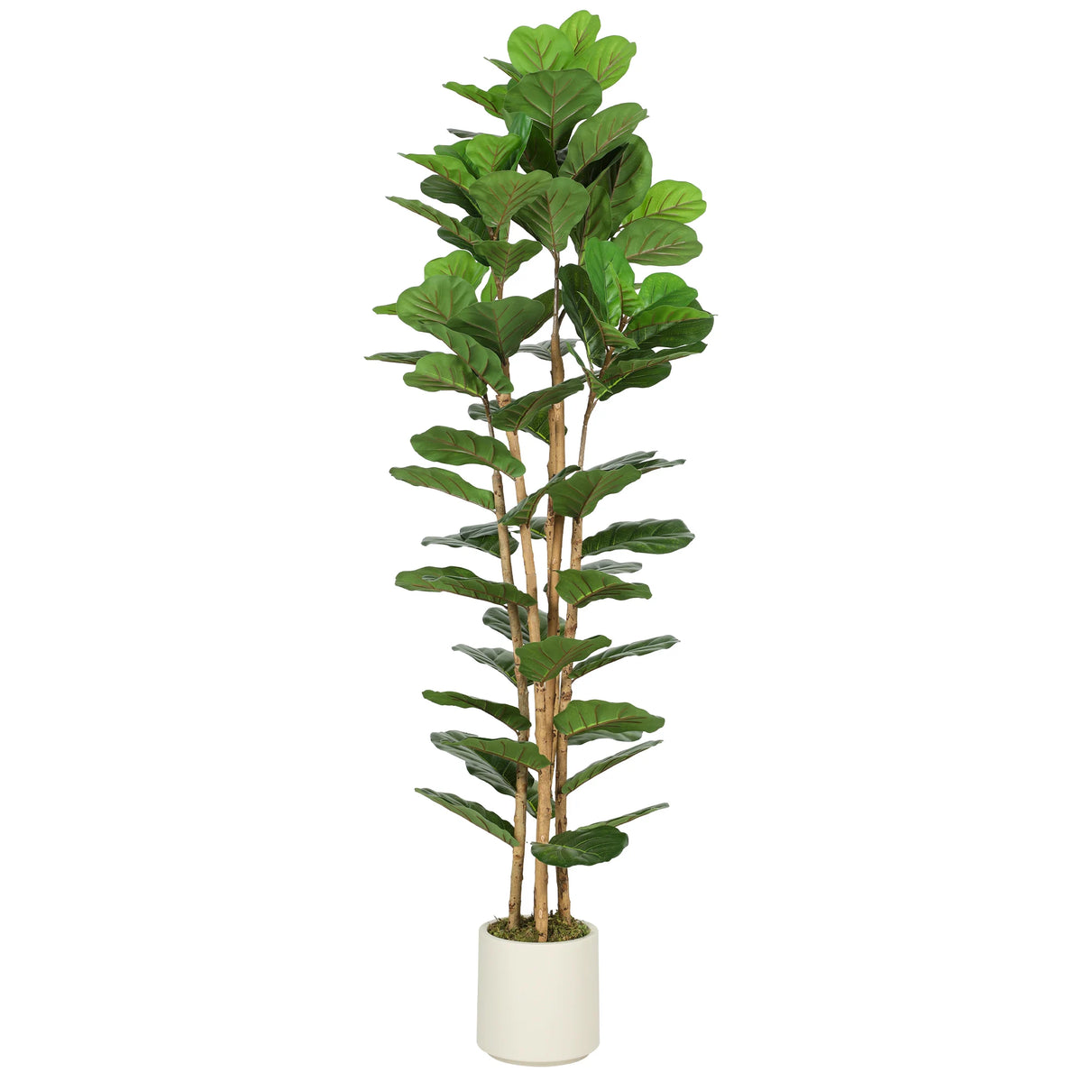 Artificial Fiddle Leaf Fig Tree 180cm with PEVA Real Touch Leaves and Solid Wood Trunks Potted Faux Plant