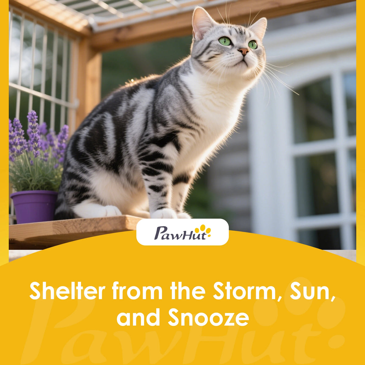 Insulated Outdoor Cat House with Openable Roof and Door Flap, Raised Wooden Shelter