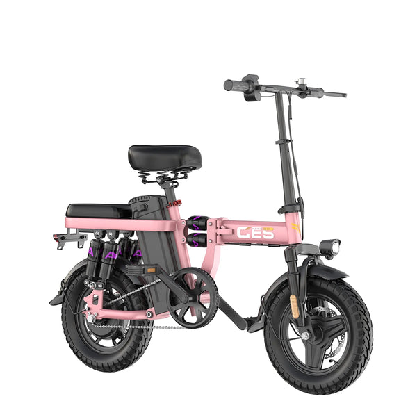 GE5 14 Inch Folding Electric Bike with 250W Motor and 48V Removable Battery, Pink