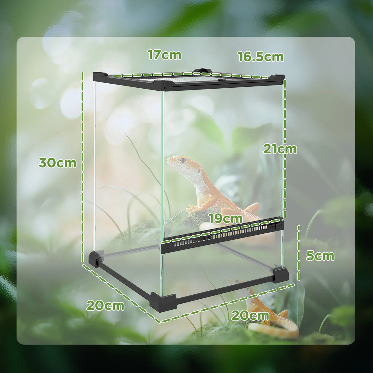 Glass Reptile Terrarium with Mesh Lid, Vivarium for Lizards, Frogs and Tortoises