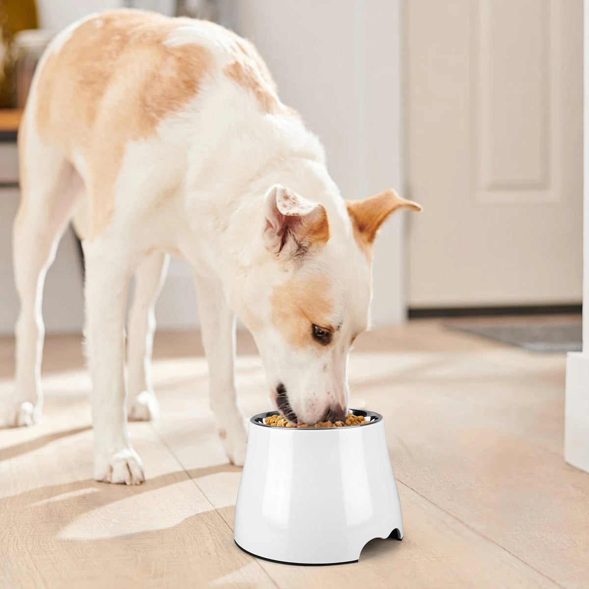 Elevated Stainless Steel Dog Bowl Non-Slip Spill Proof Dishwasher Safe 16.5x16.5x18cm for Large Dogs