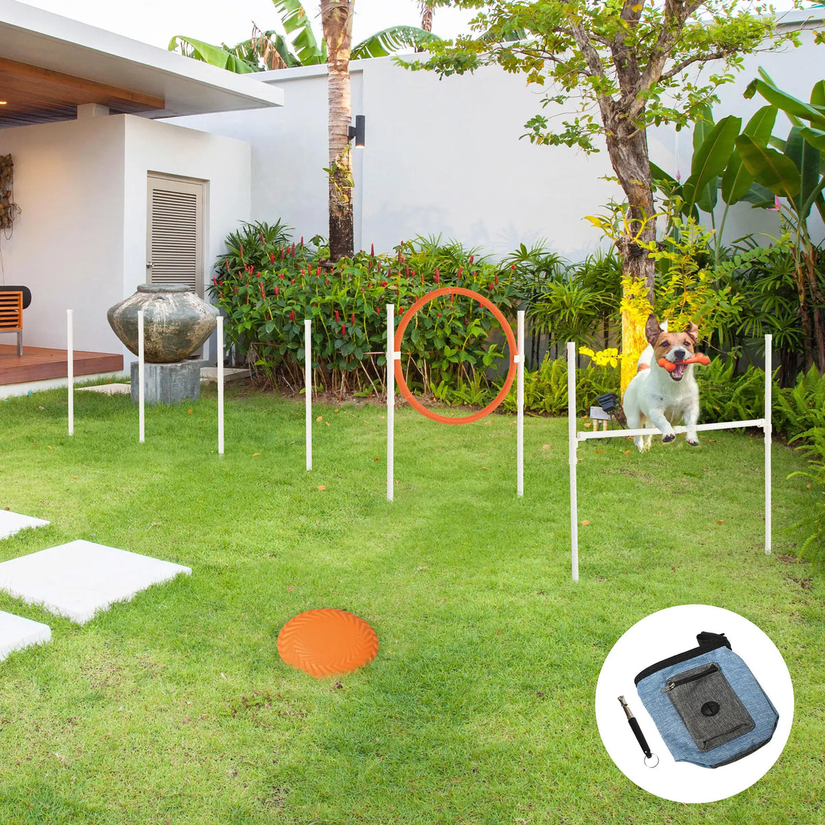 Five-Piece Dog Agility Training Set with Jump Hurdle, Ring and Weave Poles