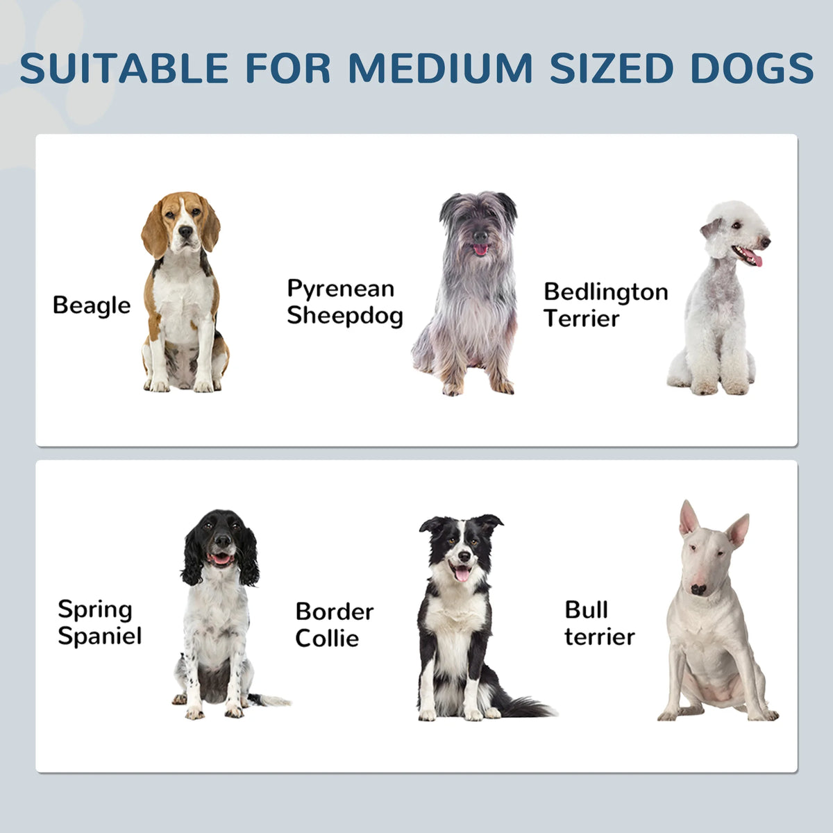 Dog Feeding Station with Storage Cabinet and 2 Hidden Bowls 80x60x35cm with Side Hooks White