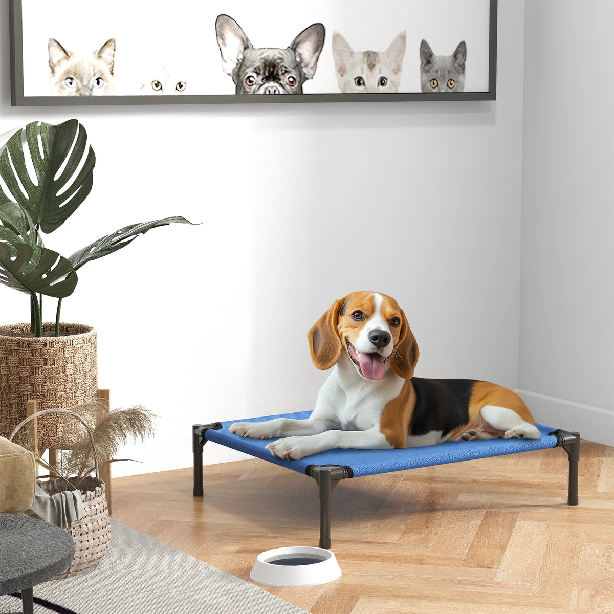 Elevated Pet Bed Folding Cooling Cot Powder Coated Metal Frame Oxford Fabric with Carry Bag for Medium Dogs