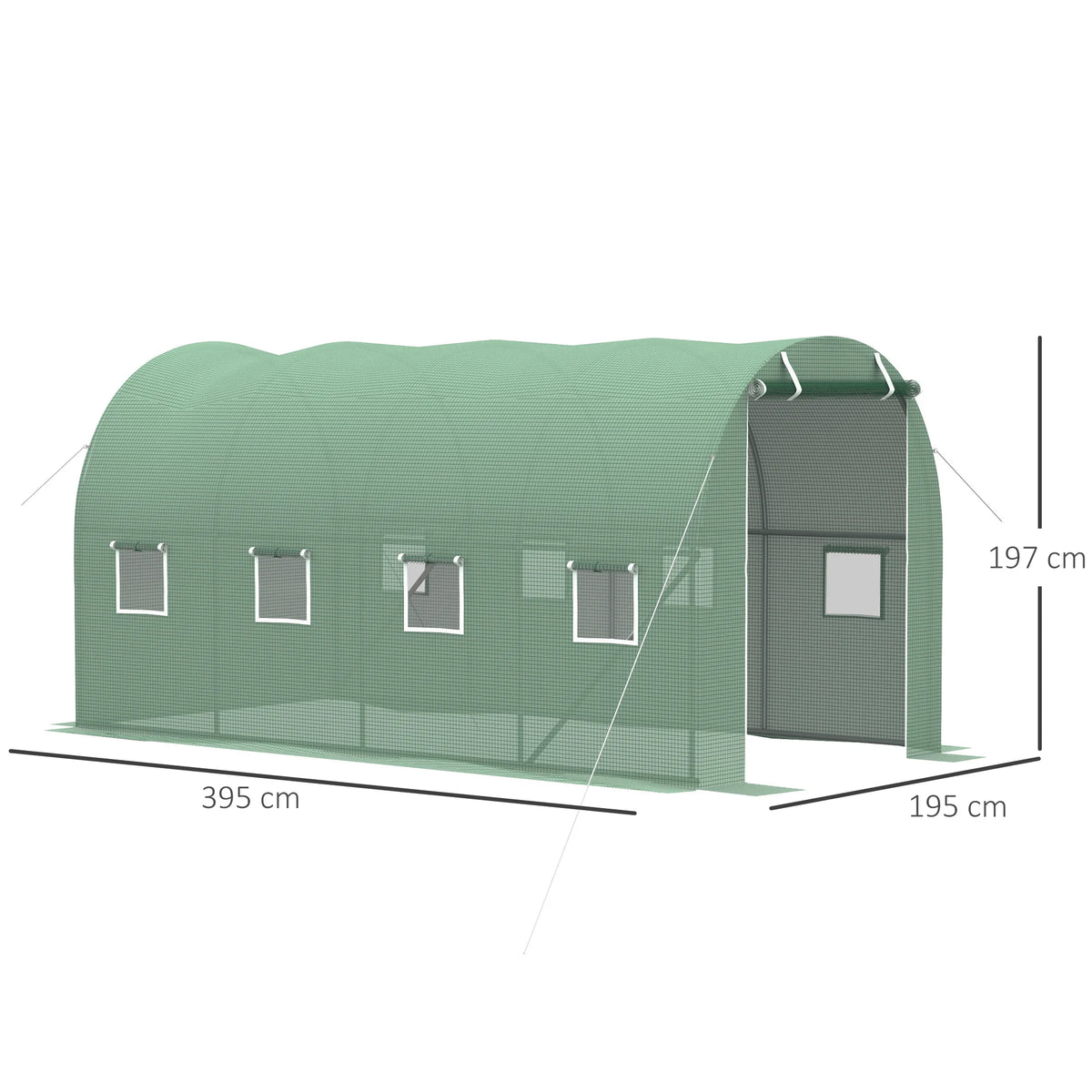 Walk-in Polytunnel Greenhouse with Roll-Up Windows, 4 x 2m, Green