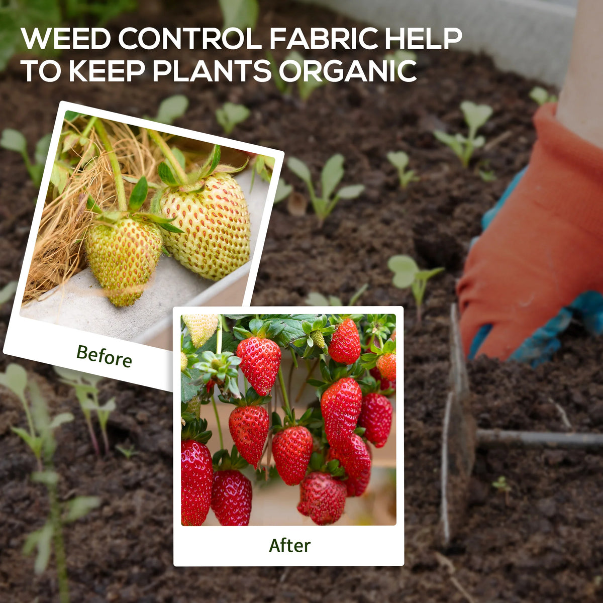 Heavy Duty Weed Control Membrane, 2 x 100m Garden Weed Barrier