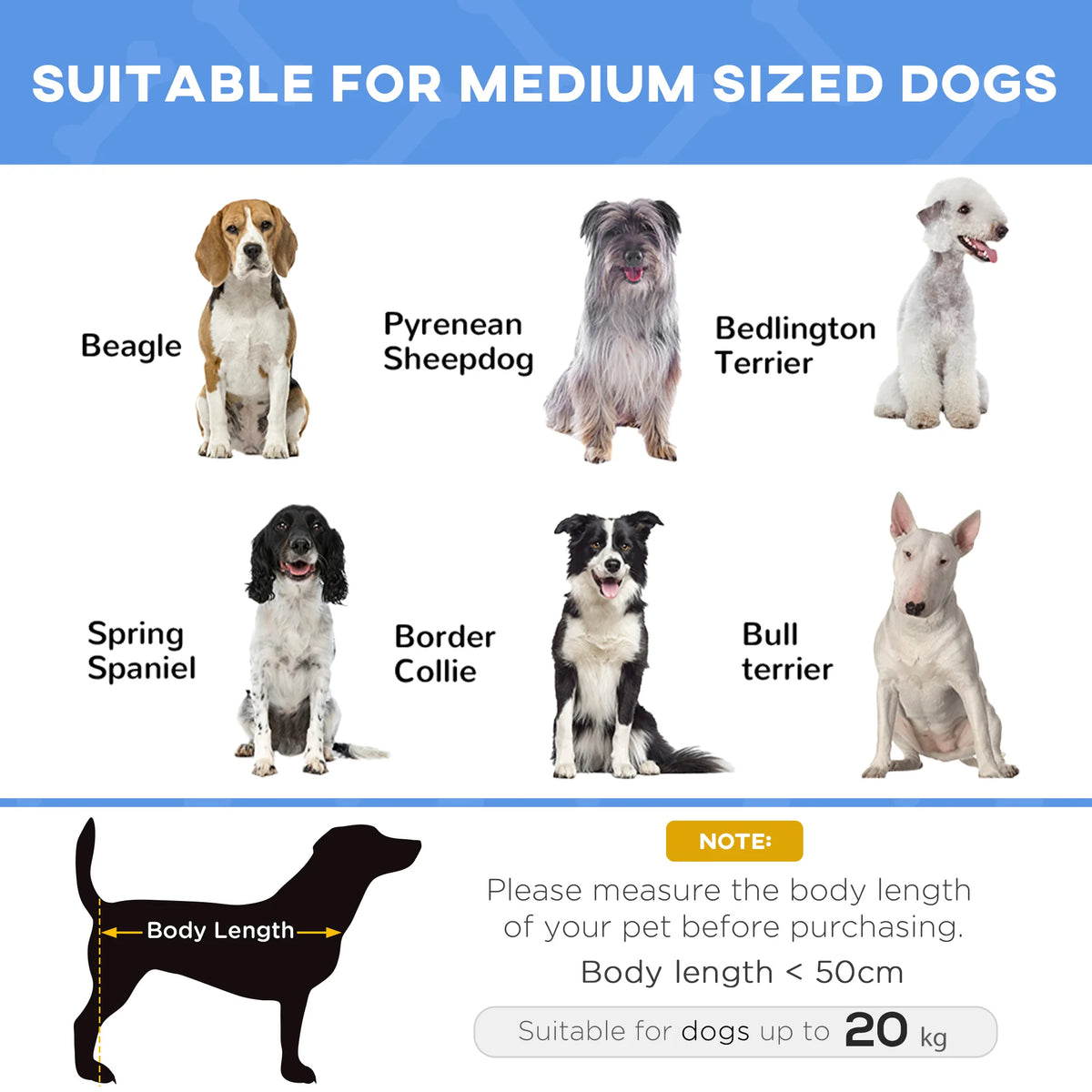 Elevated Pet Bed Folding Cooling Cot Powder Coated Metal Frame Oxford Fabric with Carry Bag for Medium Dogs