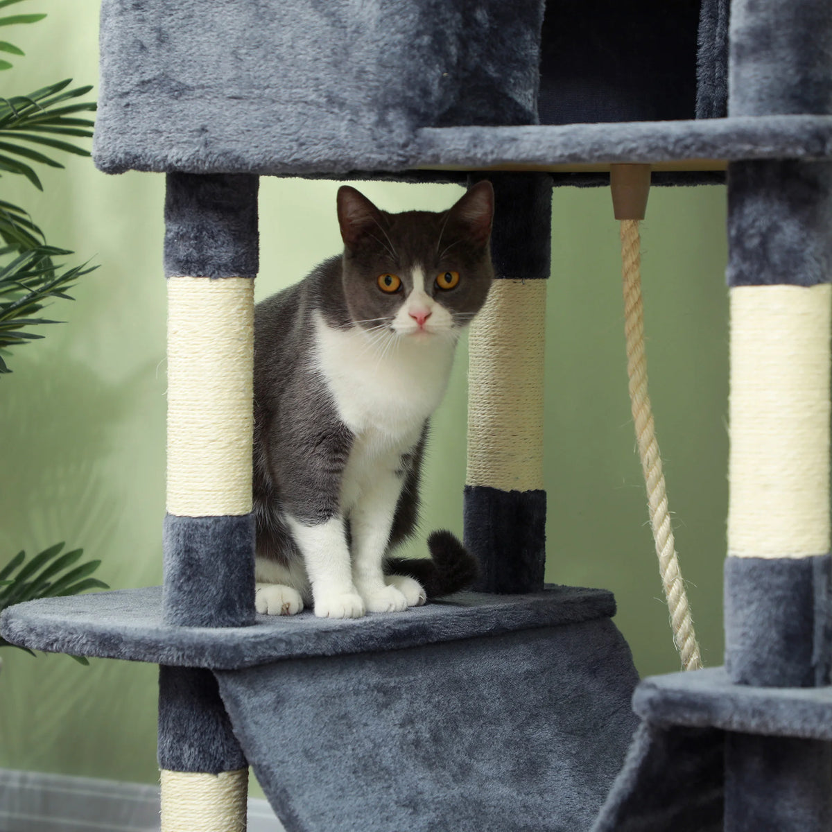 PawHut 206cm Large Cat Tree Scratching Posts Beds Condos Toys Dark Grey