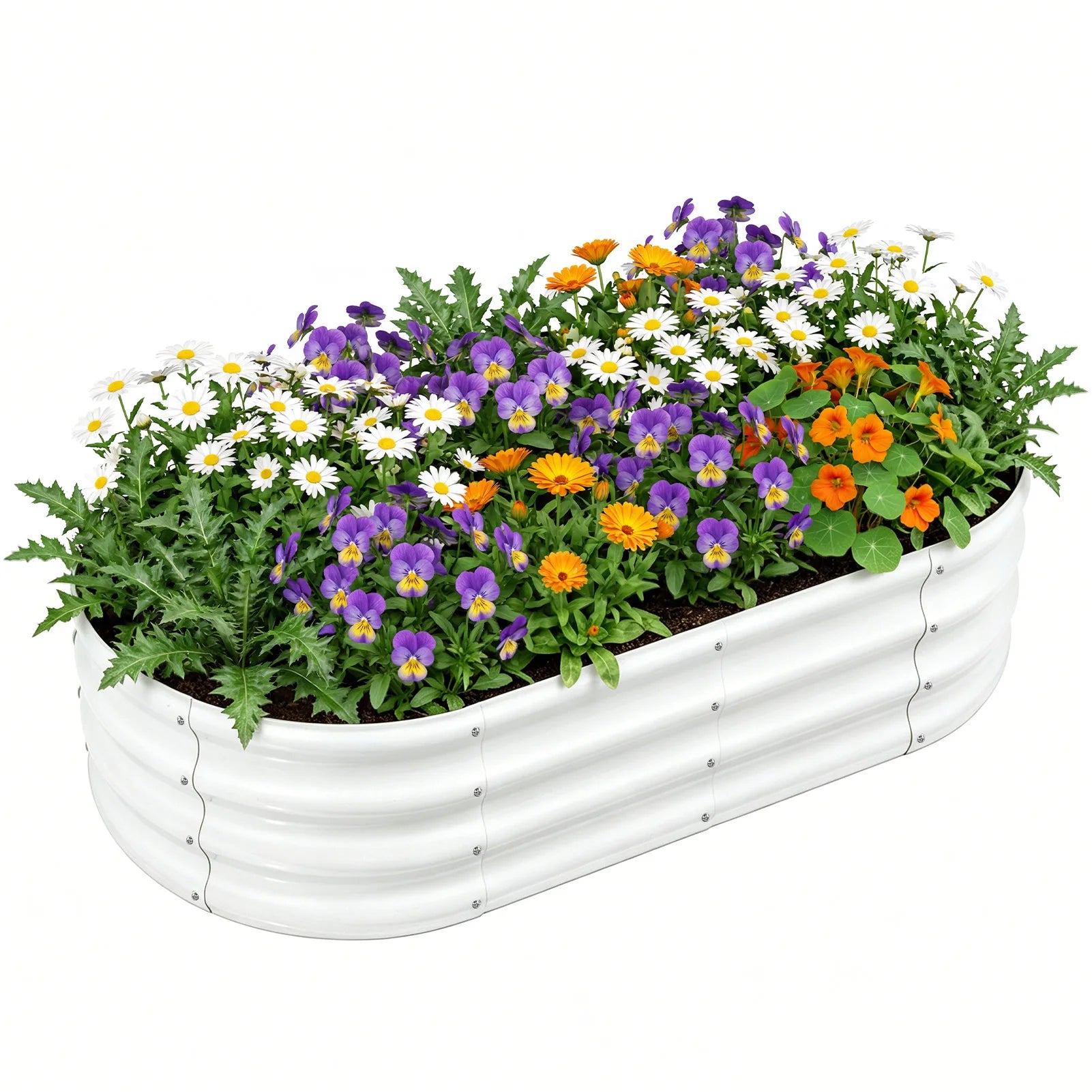 Large Oval Galvanised Steel Raised Garden Bed Multiple Sizes Rustproof for Vegetables Flowers Backyard Patio