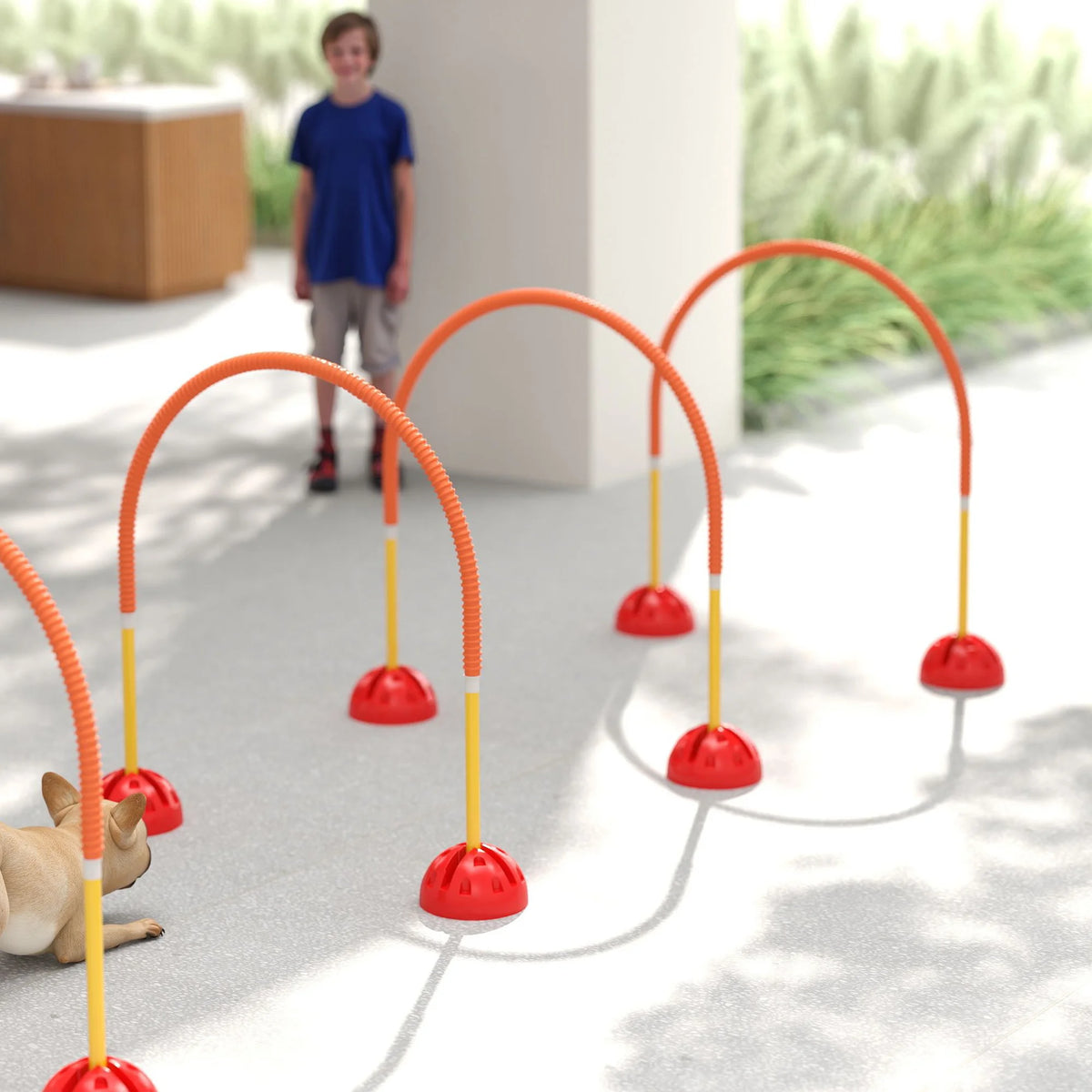 4-Piece Dog Agility Training Set with Adjustable Width Doors and Carry Bag