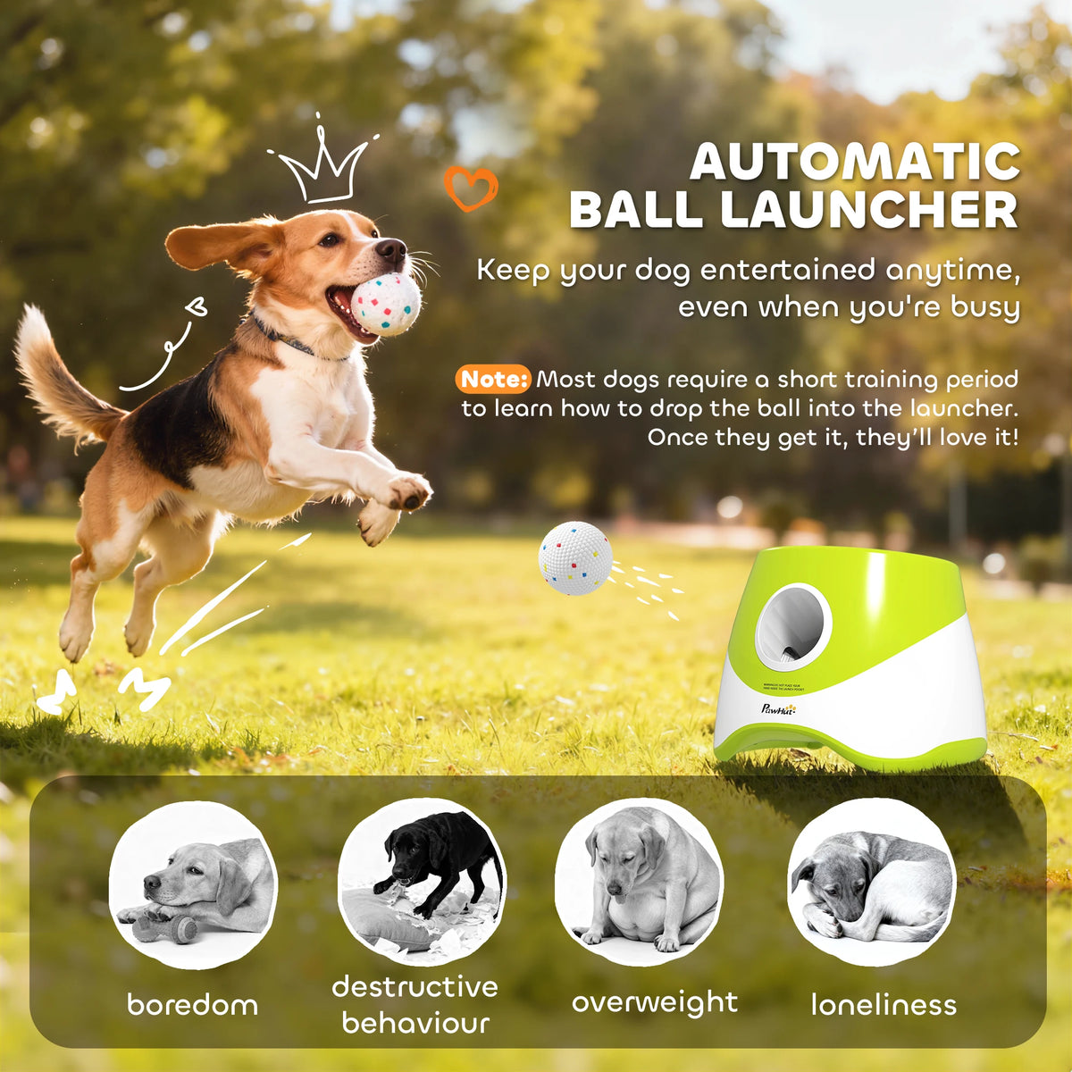 Automatic Dog Ball Launcher with 5 ETPU Balls 3 Distance Settings Rechargeable 25.9x27.1x21.4cm Green