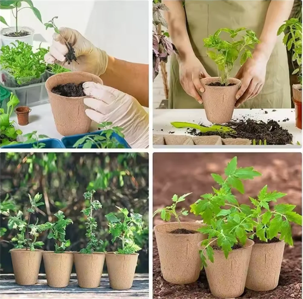 100 or 200 Pack Biodegradable Fibre Seedling Pots 6cm Round Plant Seed Nursery Cups Eco Friendly