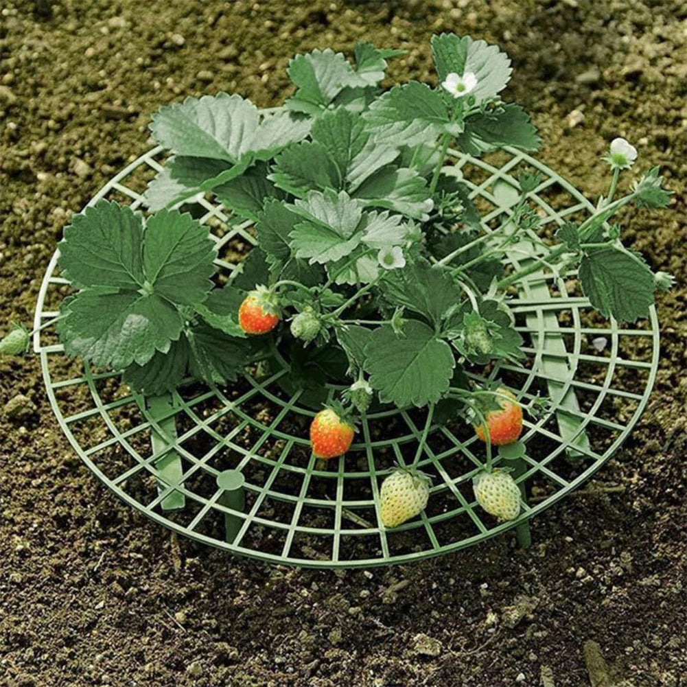 Strawberry Support Stand 4 Legs 30x9cm Plastic Vegetable Growing Rack for Berries Tomatoes Lettuce Garden