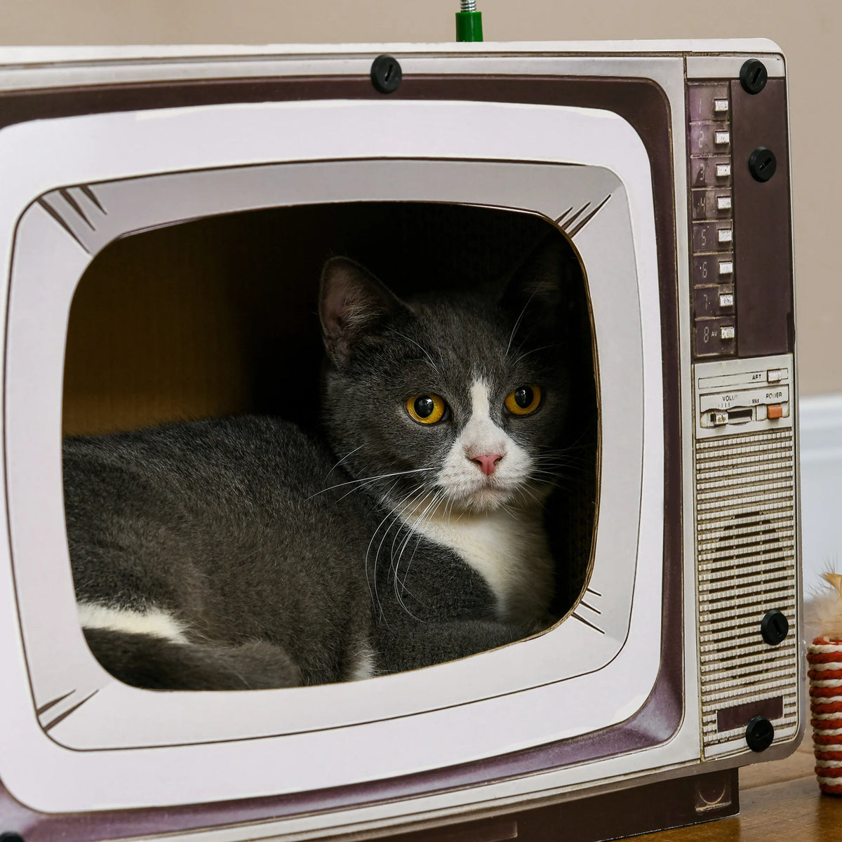 TV-Shaped Cardboard Cat House and Scratcher with Toy Mouse and Catnip