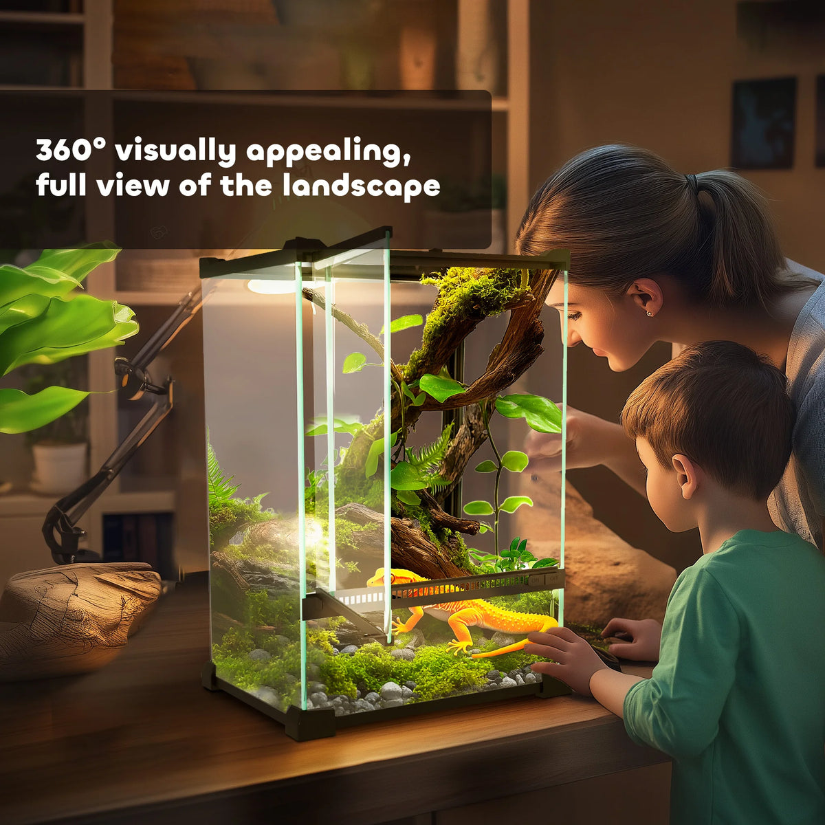 Glass Reptile Terrarium with Mesh Lid, Vivarium for Lizards, Frogs and Tortoises
