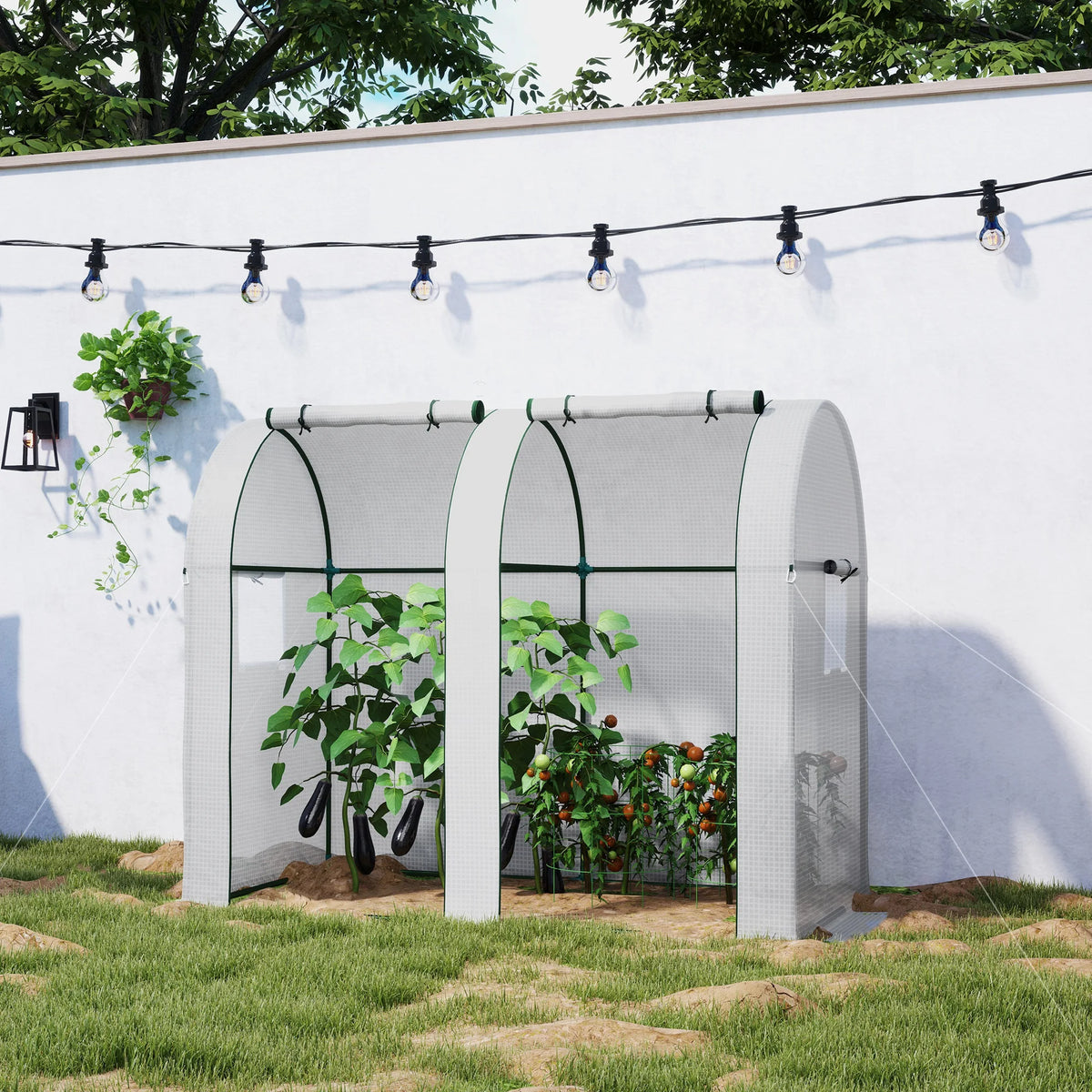 Two-Room Tomato Greenhouse with Roll-Up Doors, 185 x 94 x 150cm, White