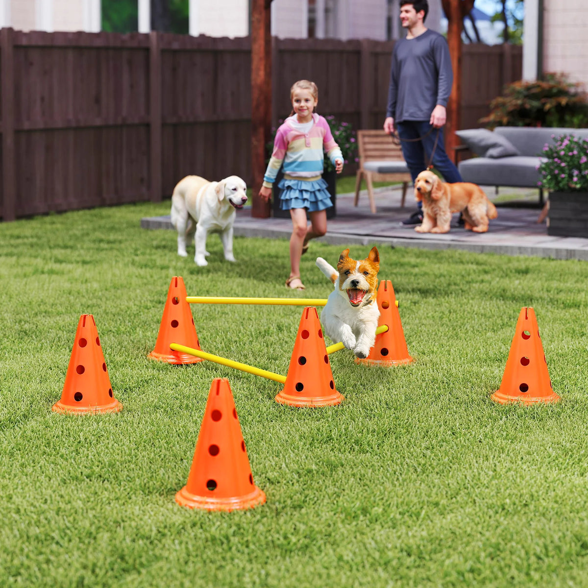 3-Piece Dog Agility Set with Adjustable Height Jumps and Carry Bag
