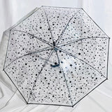 Black Star Umbrella