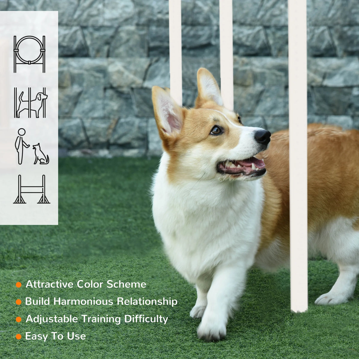 Five-Piece Dog Agility Training Set with Jump Hurdle, Ring and Weave Poles