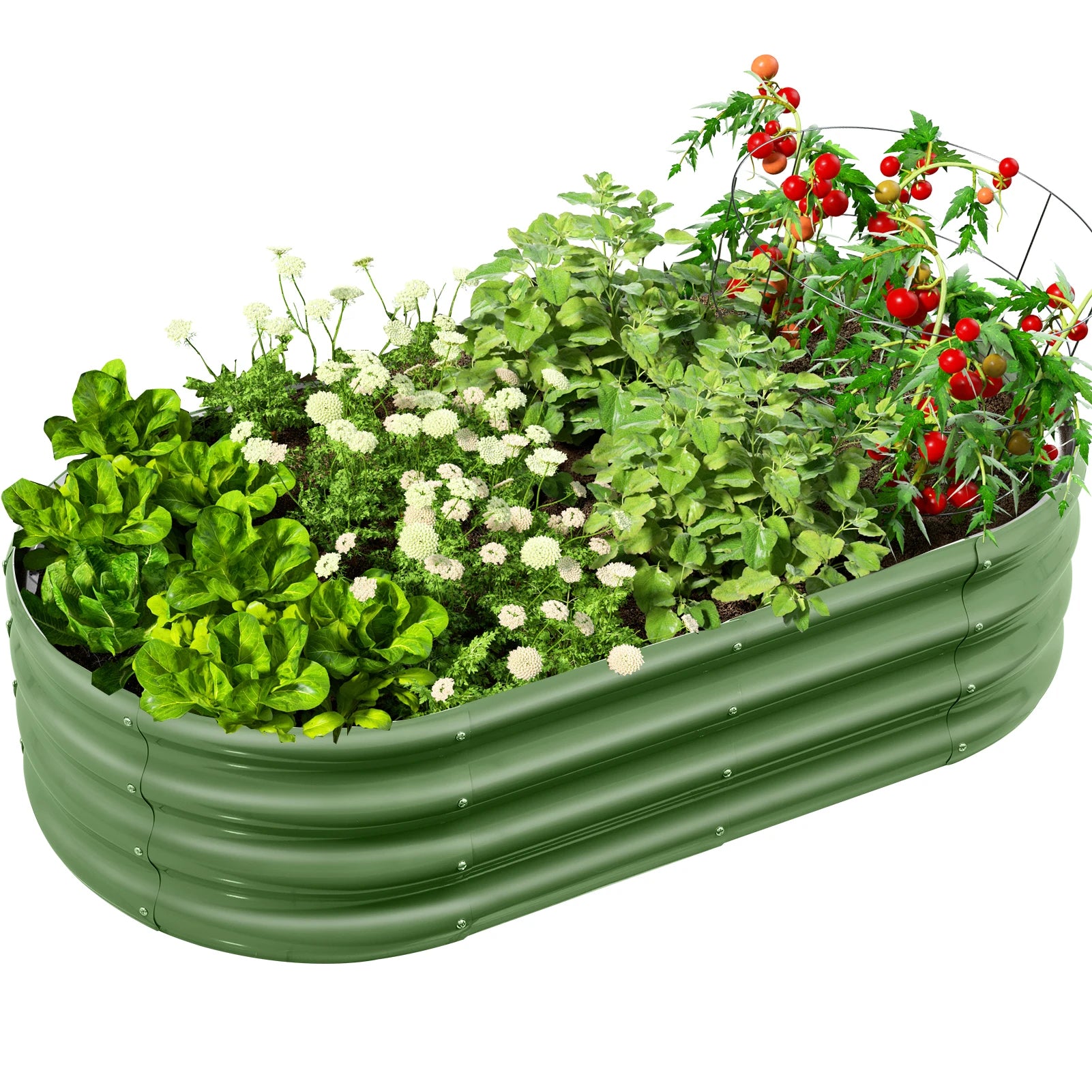 Large Oval Galvanised Steel Raised Garden Bed Multiple Sizes Rustproof for Vegetables Flowers Backyard Patio