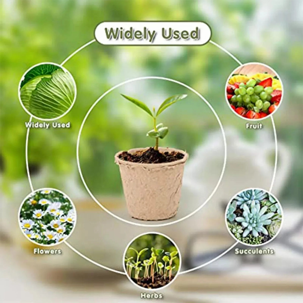 100 or 200 Pack Biodegradable Fibre Seedling Pots 6cm Round Plant Seed Nursery Cups Eco Friendly