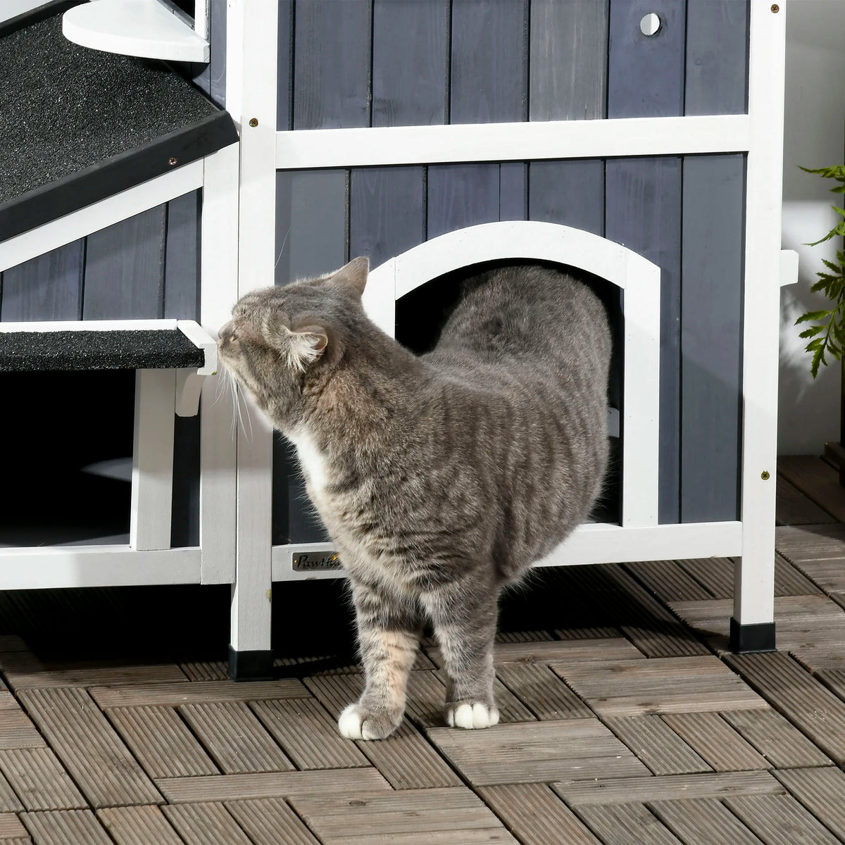 Outdoor Wooden Cat House with Flower Box, Windows and Multiple Entrances