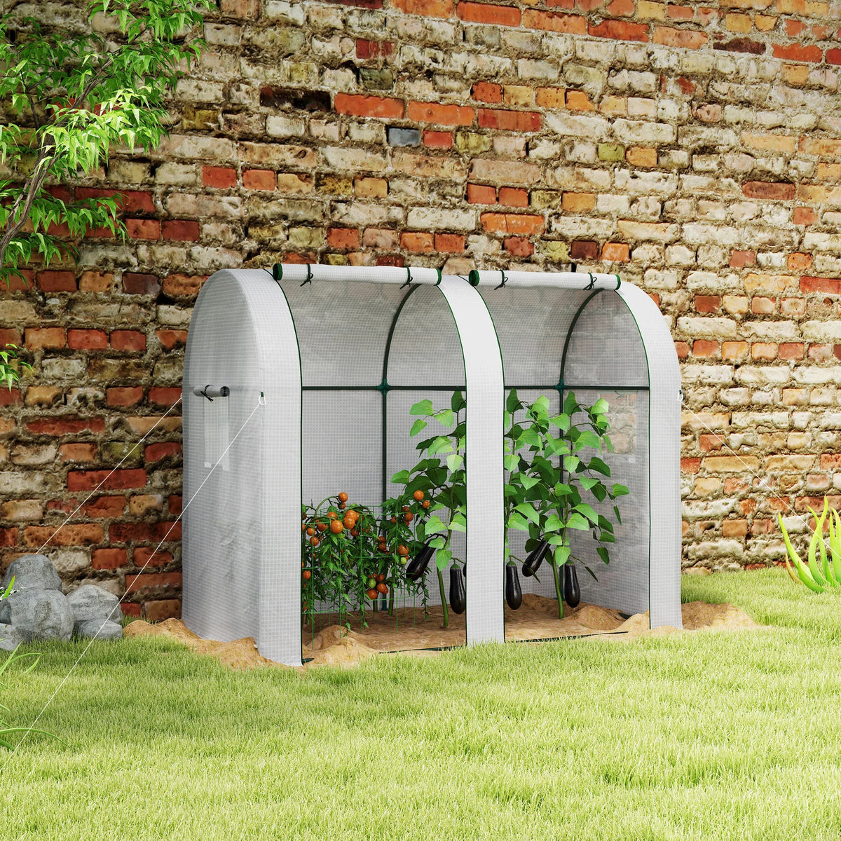 Two-Room Tomato Greenhouse with Roll-Up Doors, 185 x 94 x 150cm, White