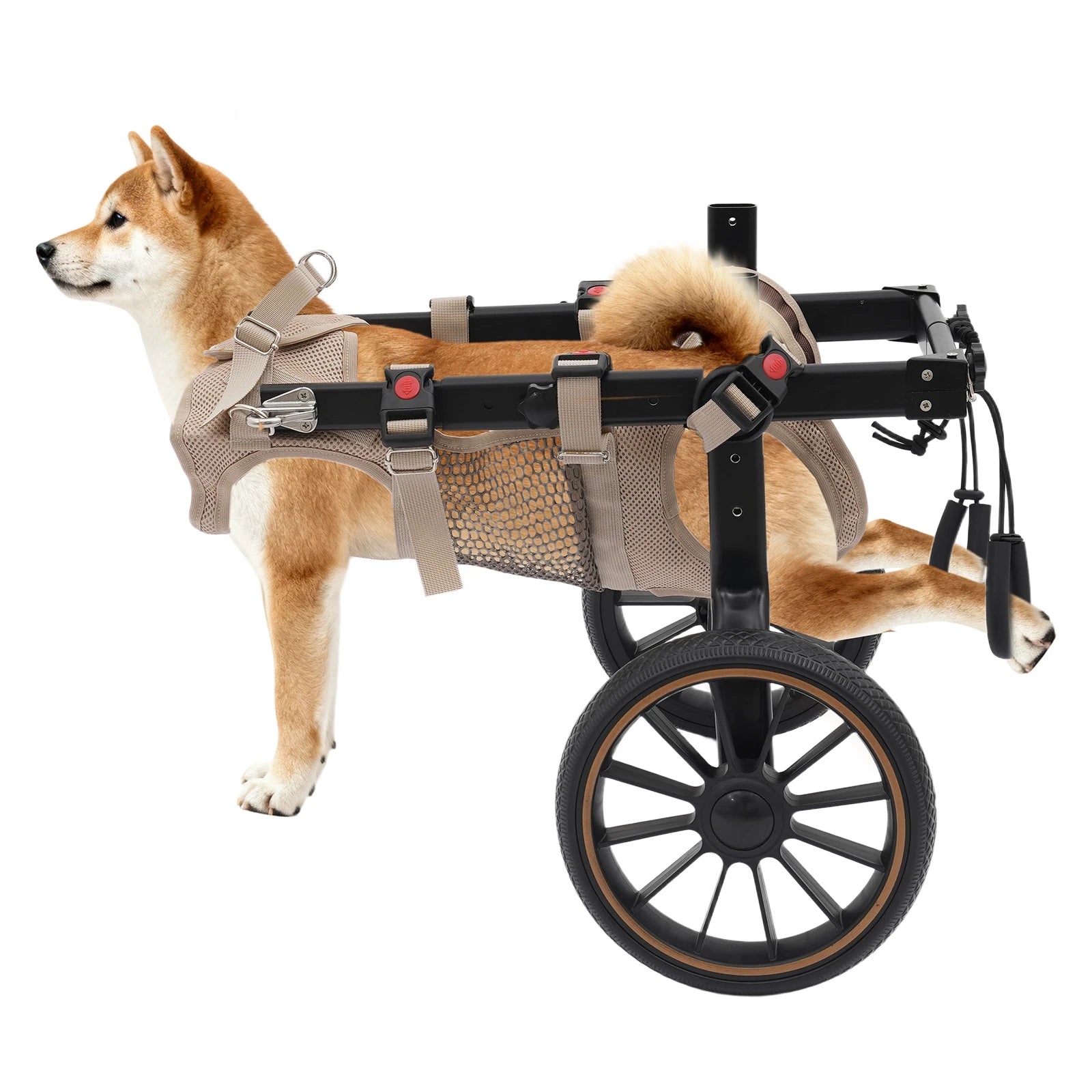 Dog Wheelchair for Back Legs, For Aging, Disable, Injured, Weak Dogs