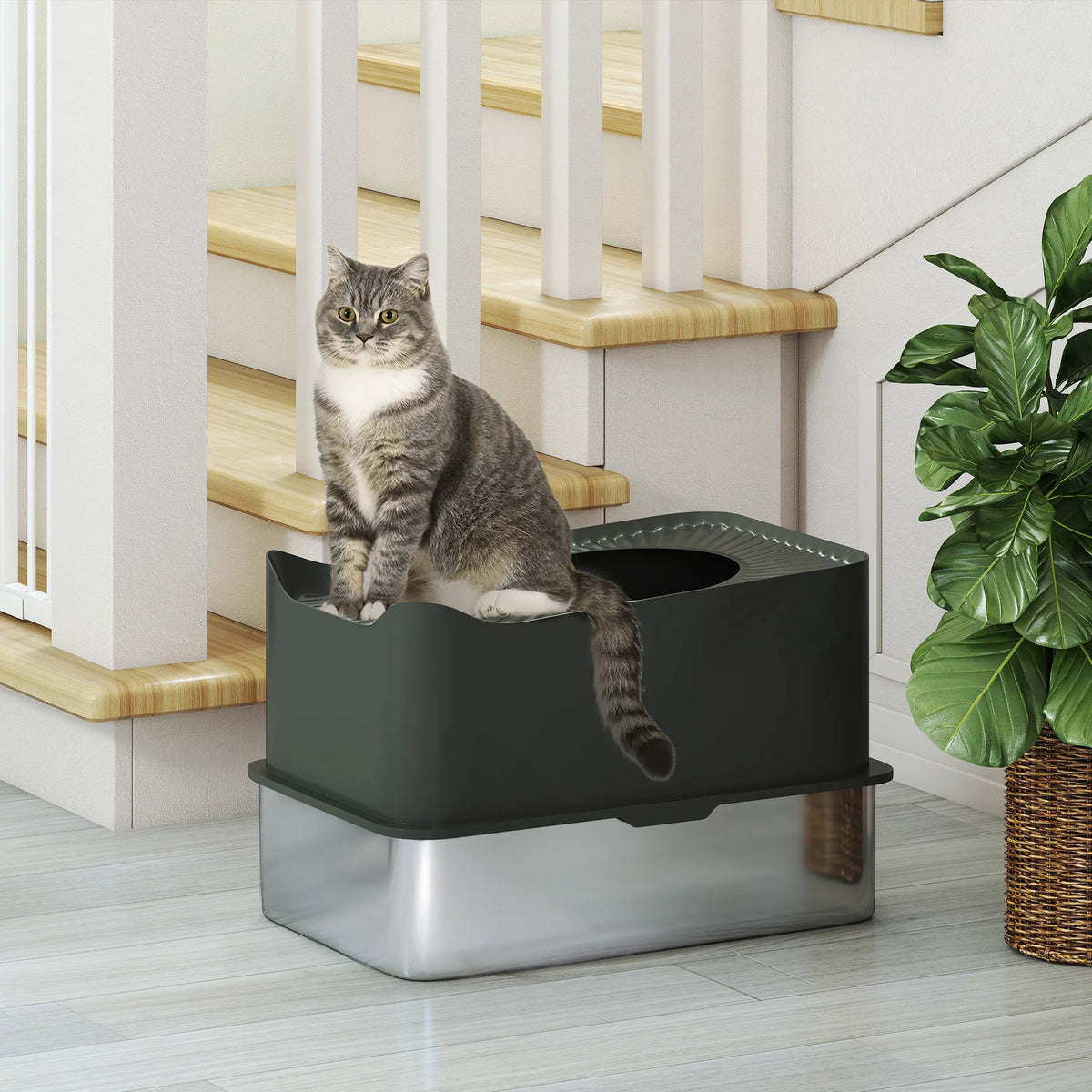 Enclosed Cat Litter Box with Top Entry, Dark Grey