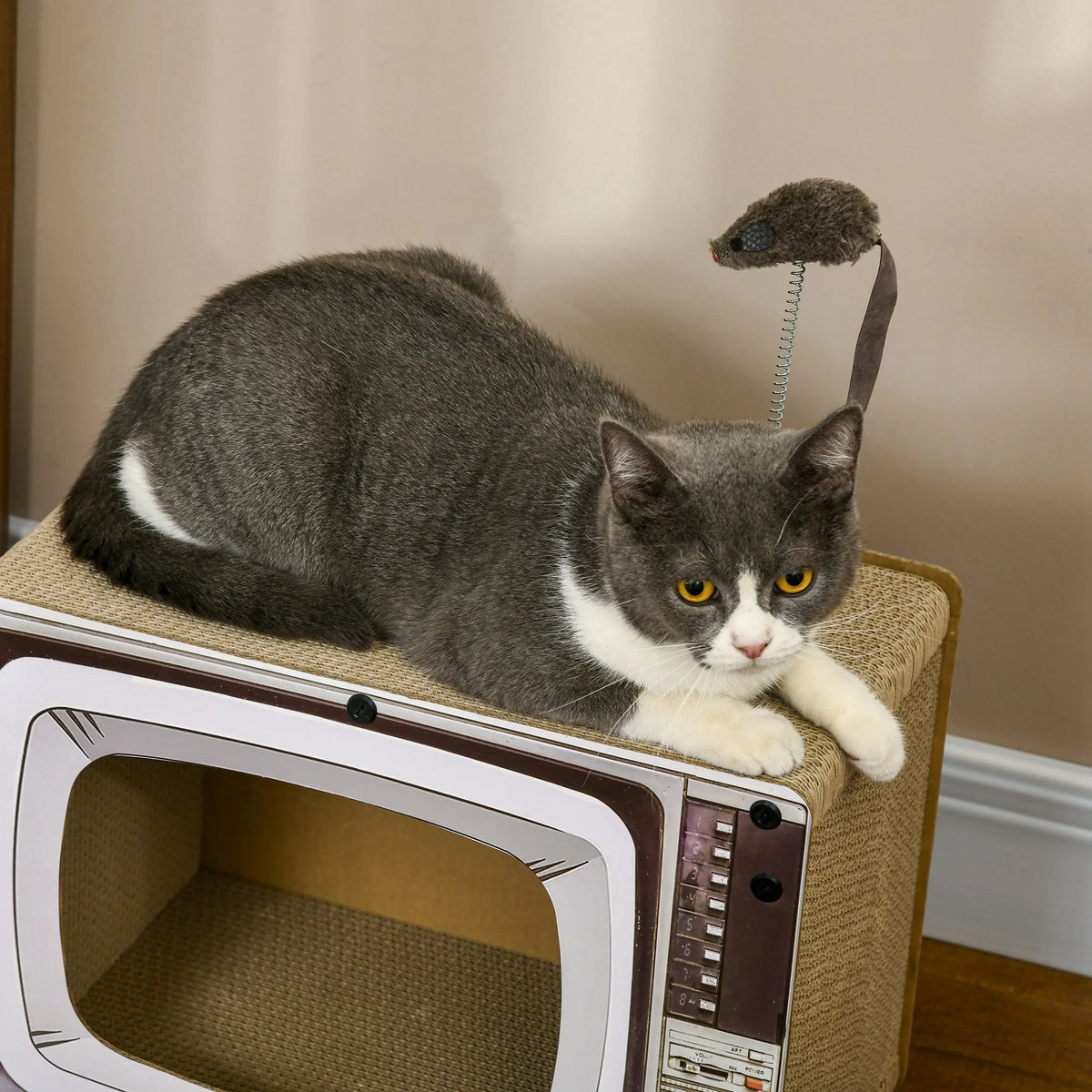 TV-Shaped Cardboard Cat House and Scratcher with Toy Mouse and Catnip