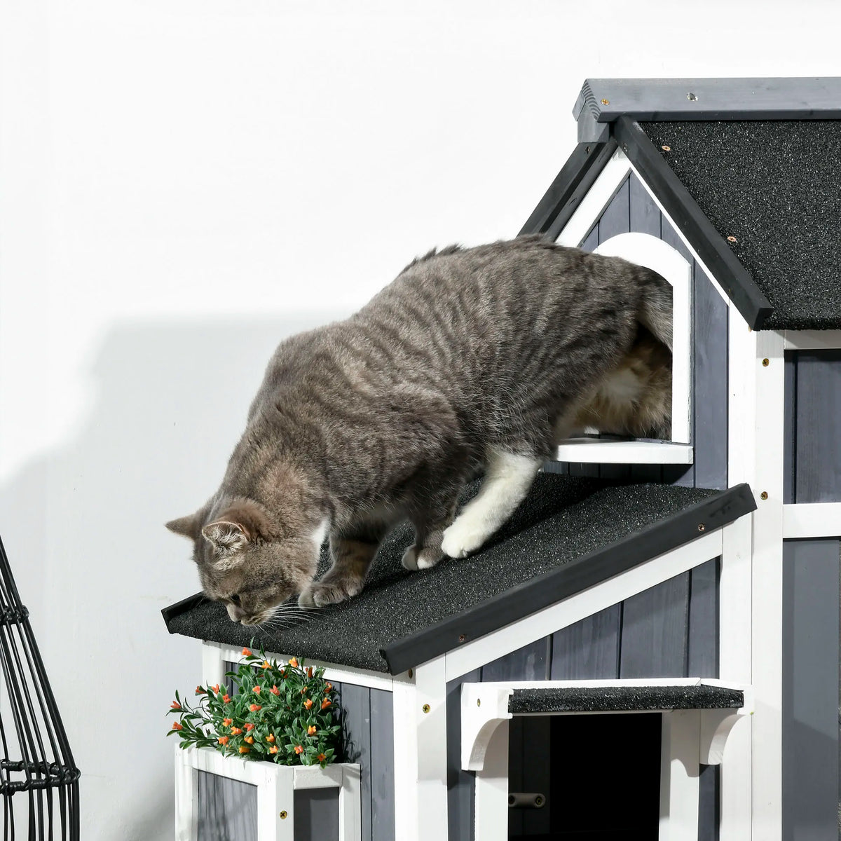 Outdoor Wooden Cat House with Flower Box, Windows and Multiple Entrances