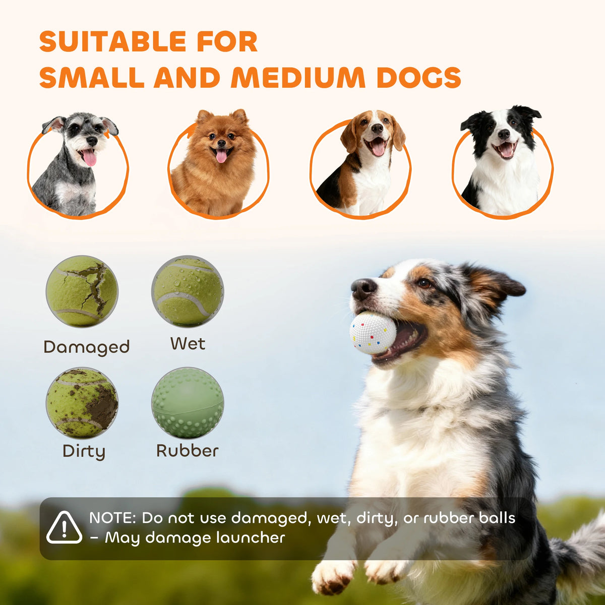 Automatic Dog Ball Launcher with 5 ETPU Balls 3 Distance Settings Rechargeable 25.9x27.1x21.4cm Green