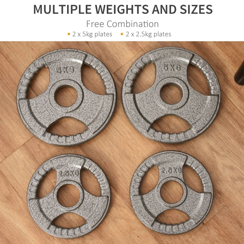 Set of 4 Olympic Weight Plates 15kg Two 5kg Two 2.5kg with 5cm Holes Steel 23x23x3cm Silver