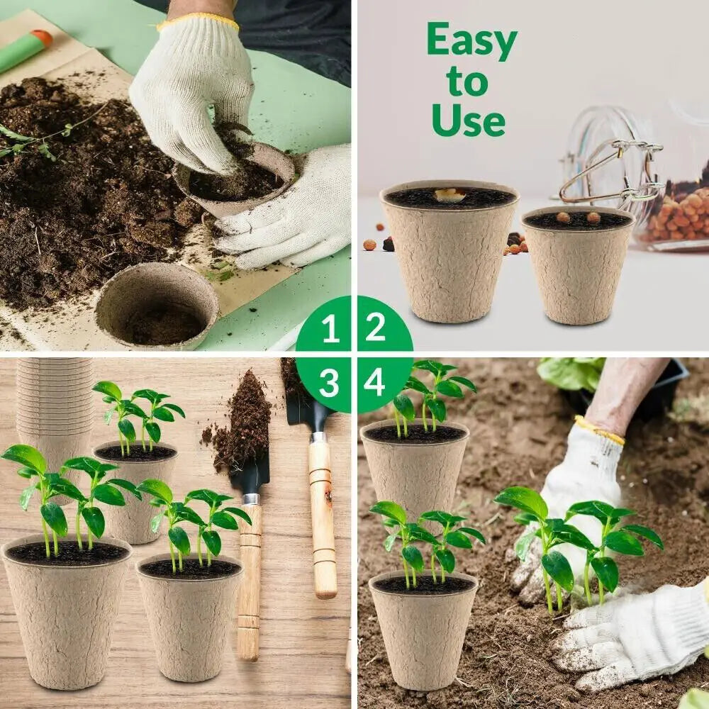 100 or 200 Pack Biodegradable Fibre Seedling Pots 6cm Round Plant Seed Nursery Cups Eco Friendly