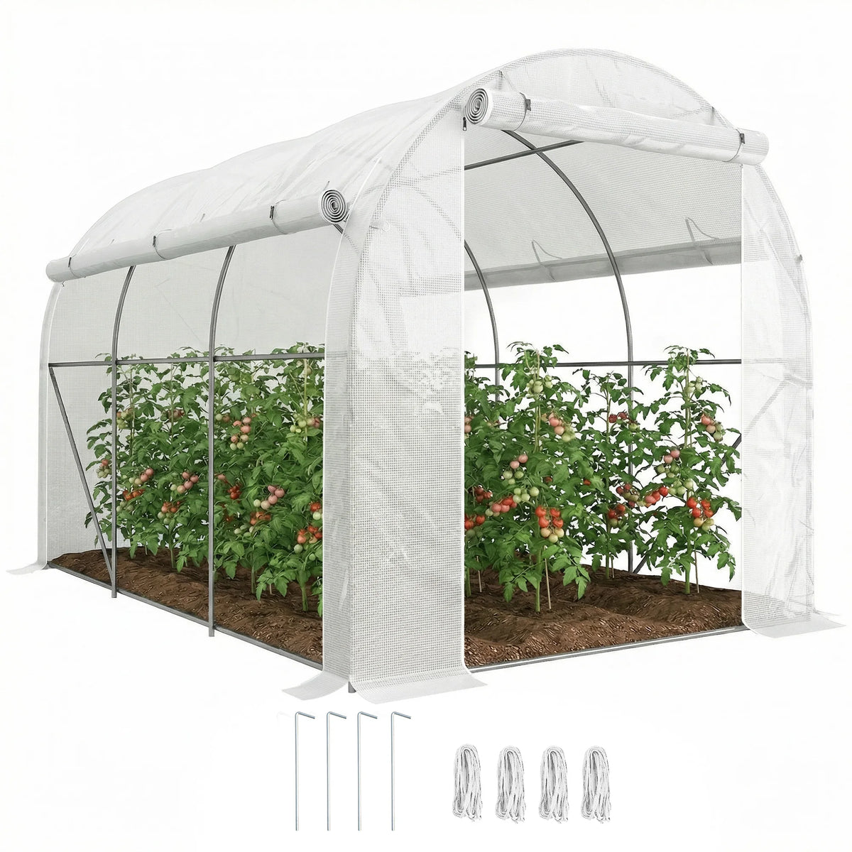 3 x 2m Polytunnel Greenhouse with Roll-Up Door and Mesh Windows, White
