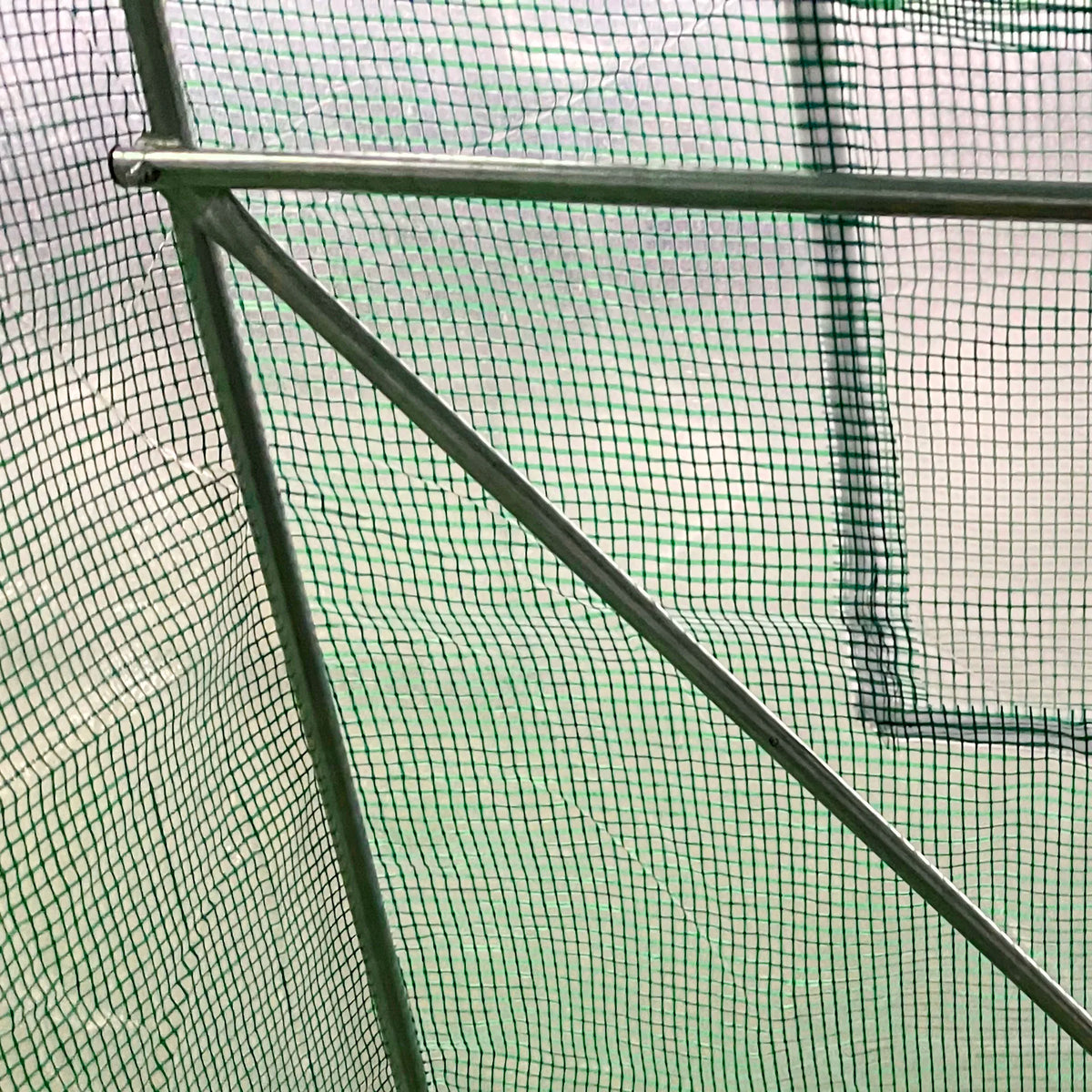 Walk-in Polytunnel Greenhouse with Roll-Up Windows, 4 x 2m, Green