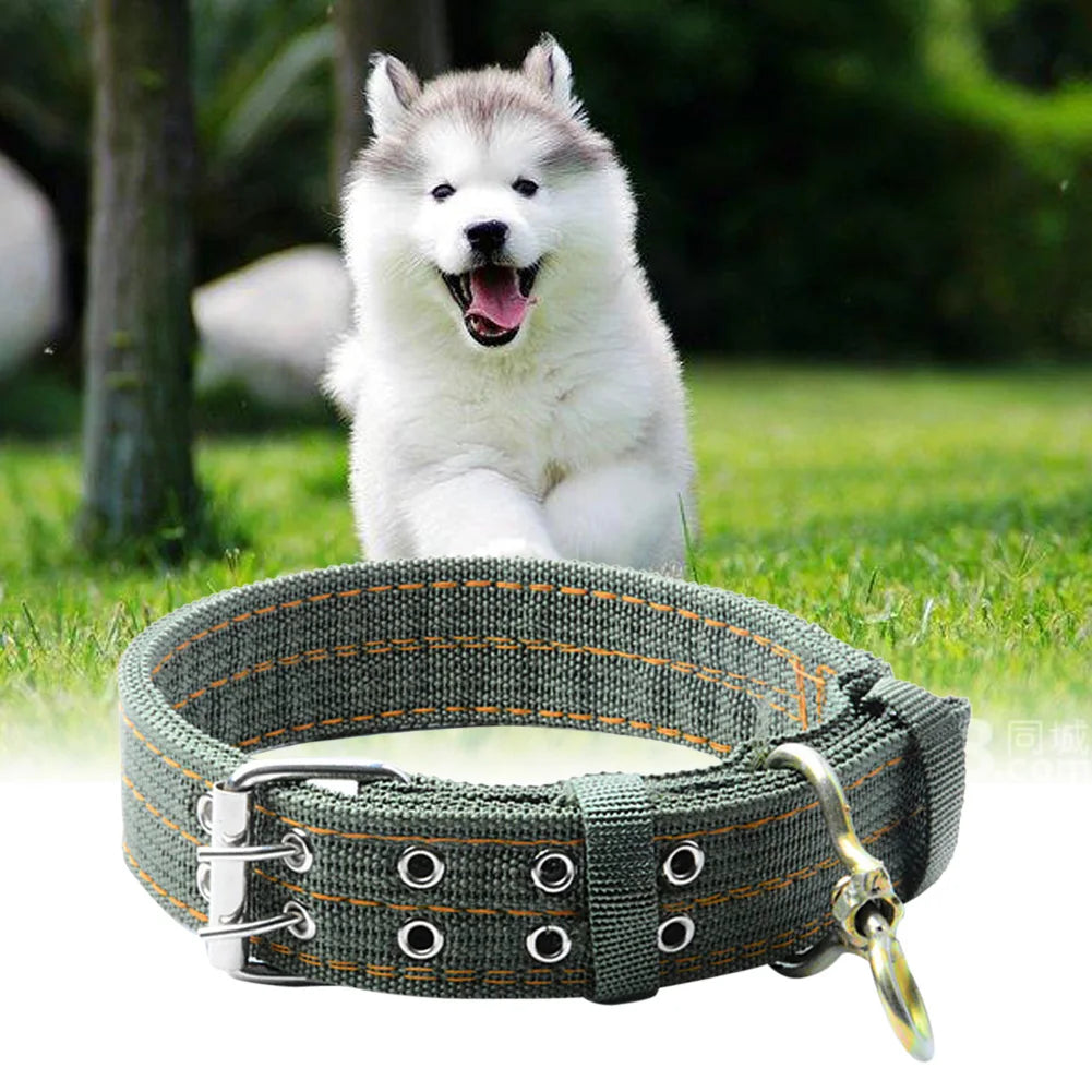 Green Double Breasted Dog Collar Adjustable Thickened Double Row Stainless Steel for Medium Large Dogs