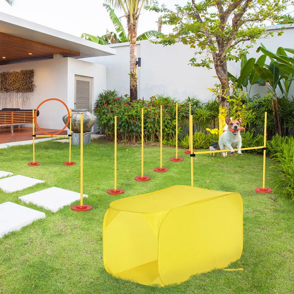 Outdoor 4 PCs Dog Agility Training Equipment Backyard Starter Course Set