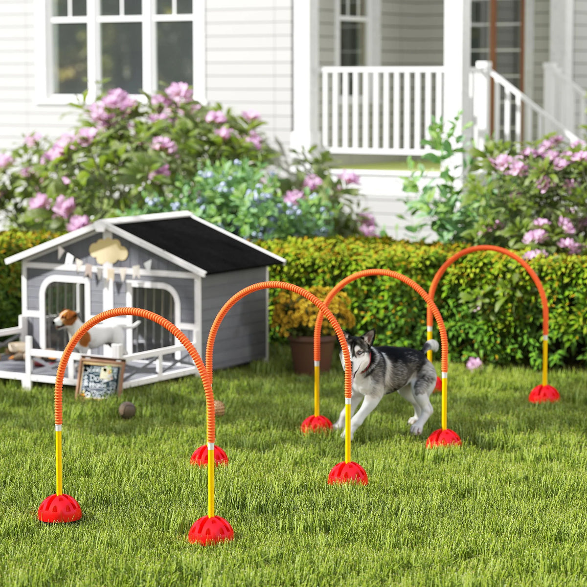 4-Piece Dog Agility Training Set with Adjustable Width Doors and Carry Bag